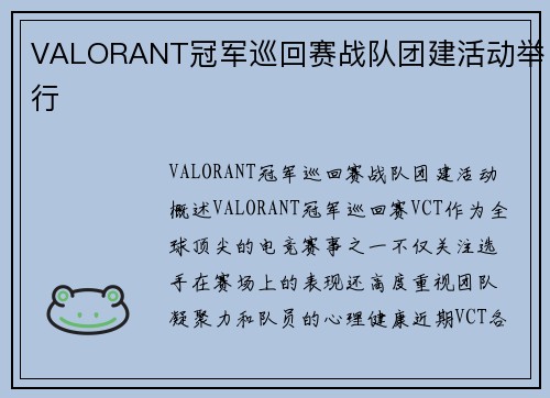 VALORANT冠军巡回赛战队团建活动举行