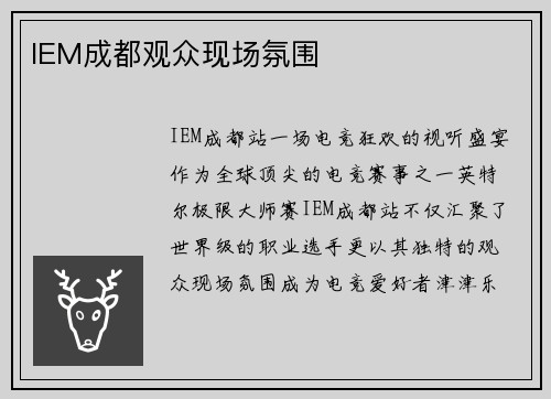 IEM成都观众现场氛围